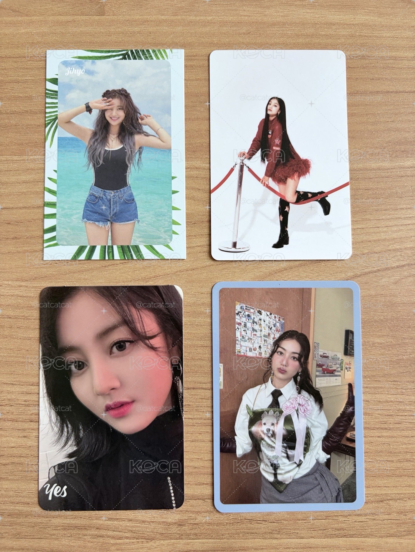 TWICE 志效小卡