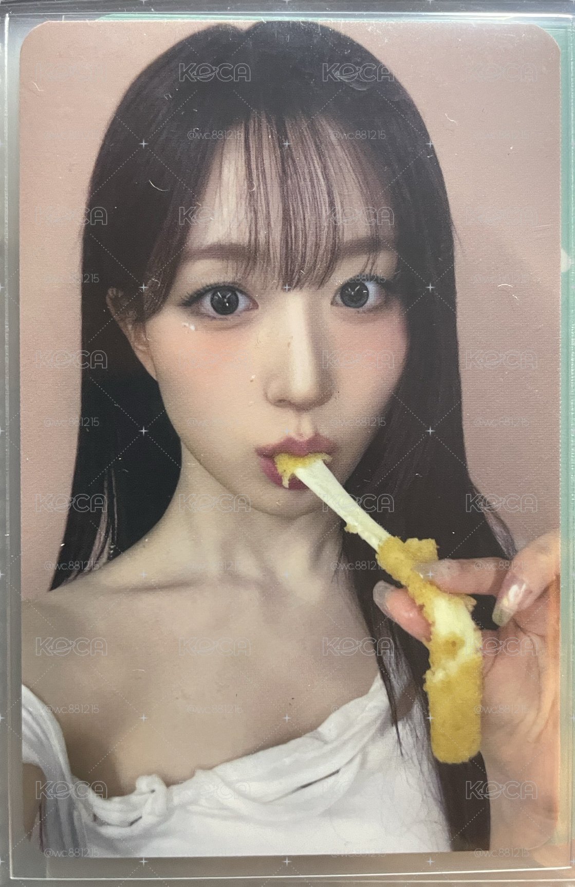 起司條嫄