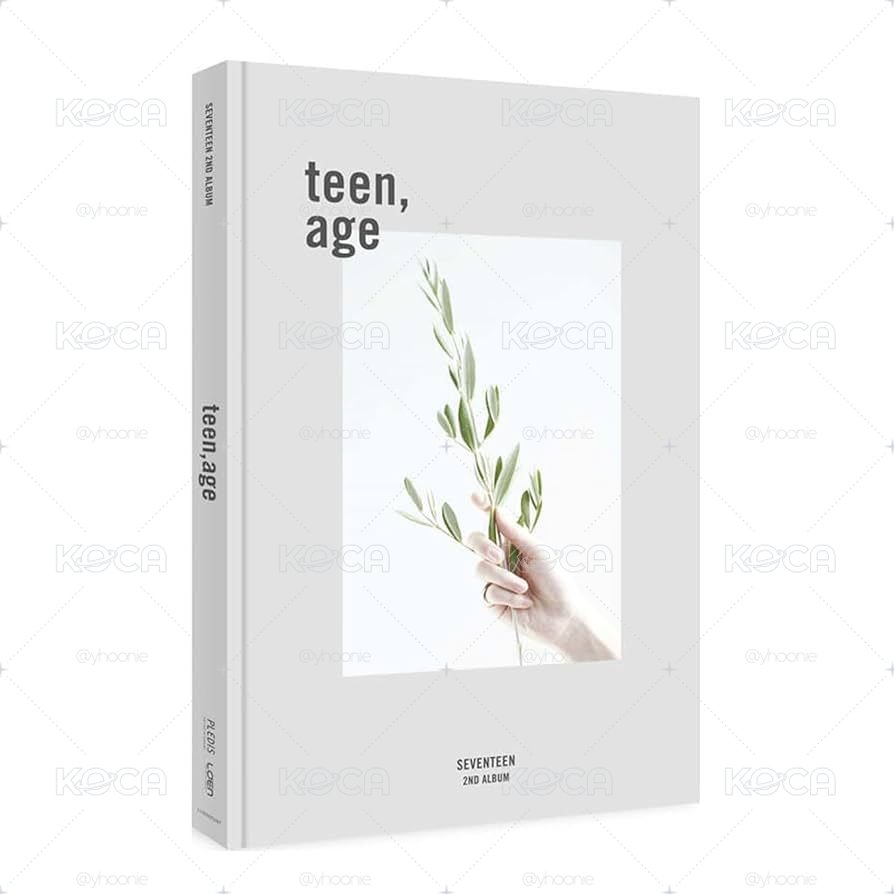 SEVENTEEN 正二 teen, age 白版全專 （近全新）