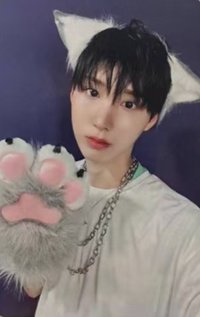 迷二 數星星 2.0 簽售卡 小貓ver.