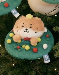 聖誕花圈燦+站娃