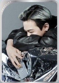 Casetify’s 15週年 代言卡 