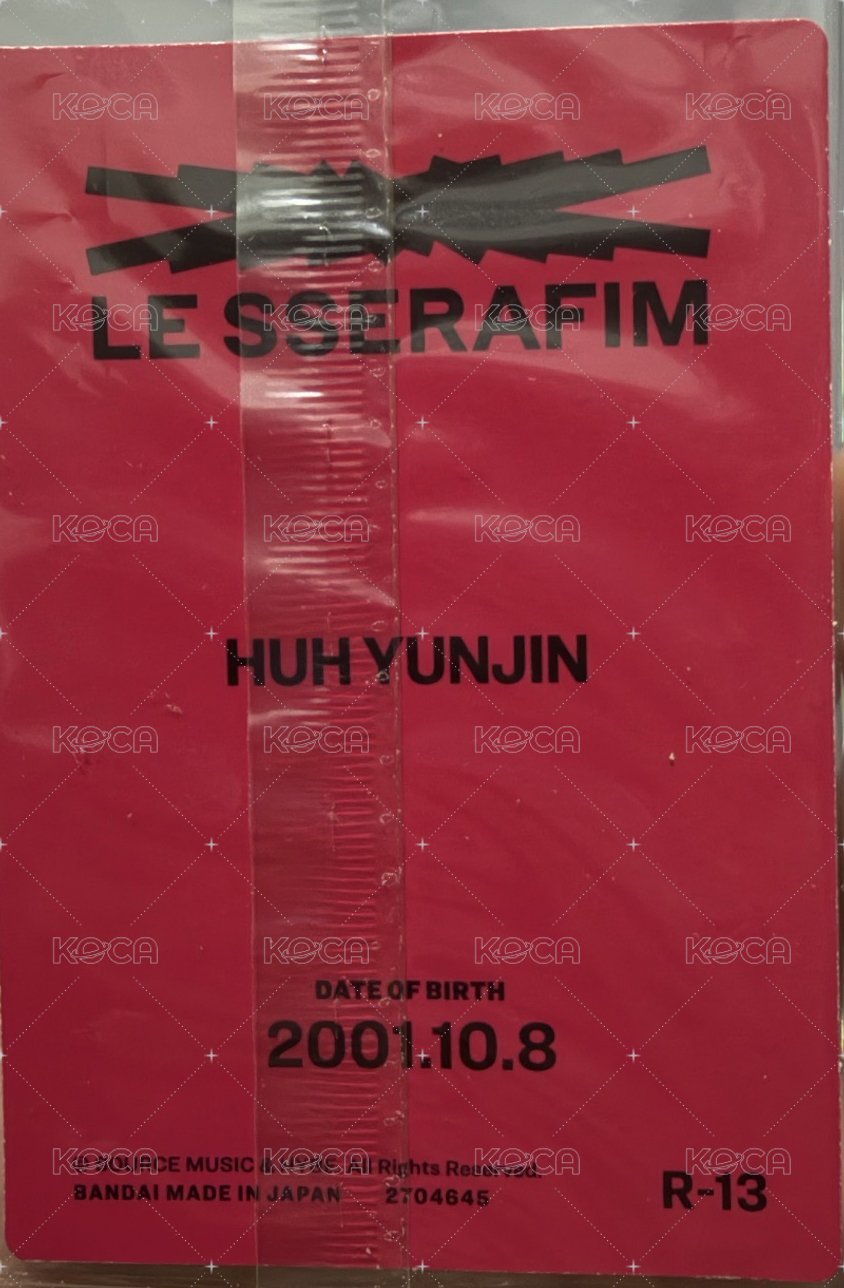 BANDAI BANDAI 隨機卡 R-13 背面