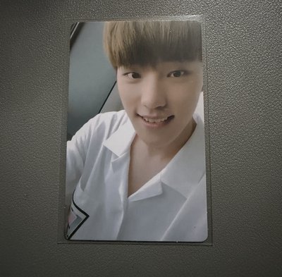 SEVENTEEN DINO mini5 專卡