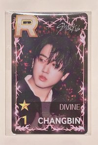 Divine遊戲卡彬🐷🐰（全新未拆）