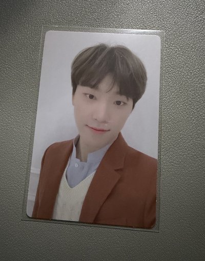 SEVENTEEN DINO mini5 mini6 精選專卡