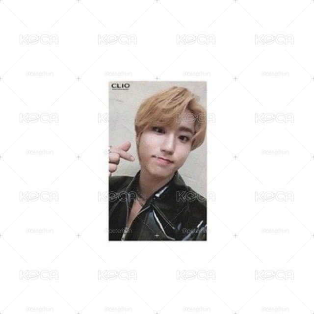 Stray Kids 韓知城 HAN 小卡