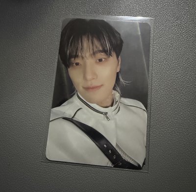 SEVENTEEN DINO mini11/正四專卡