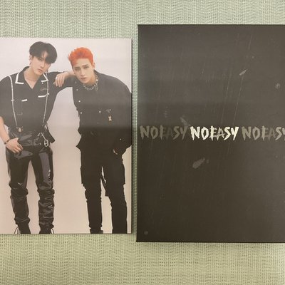 Stray Kids NOEASY 限量版（多I.N🦊）