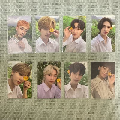 Stray Kids NOEASY 限量版（多I.N🦊）