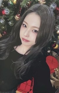 正規一 ms 14.0 抽選卡 聖誕樹