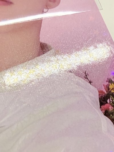 always yours(損)🐯💕