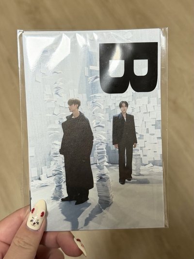 DxS 碩寛雪冰聯名明信片B組