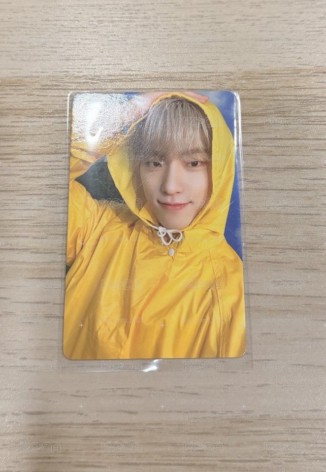 SEVENTEEN 💎雨衣燦 Dino 🦦