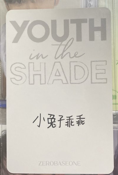 小兔子乖乖辰🐰