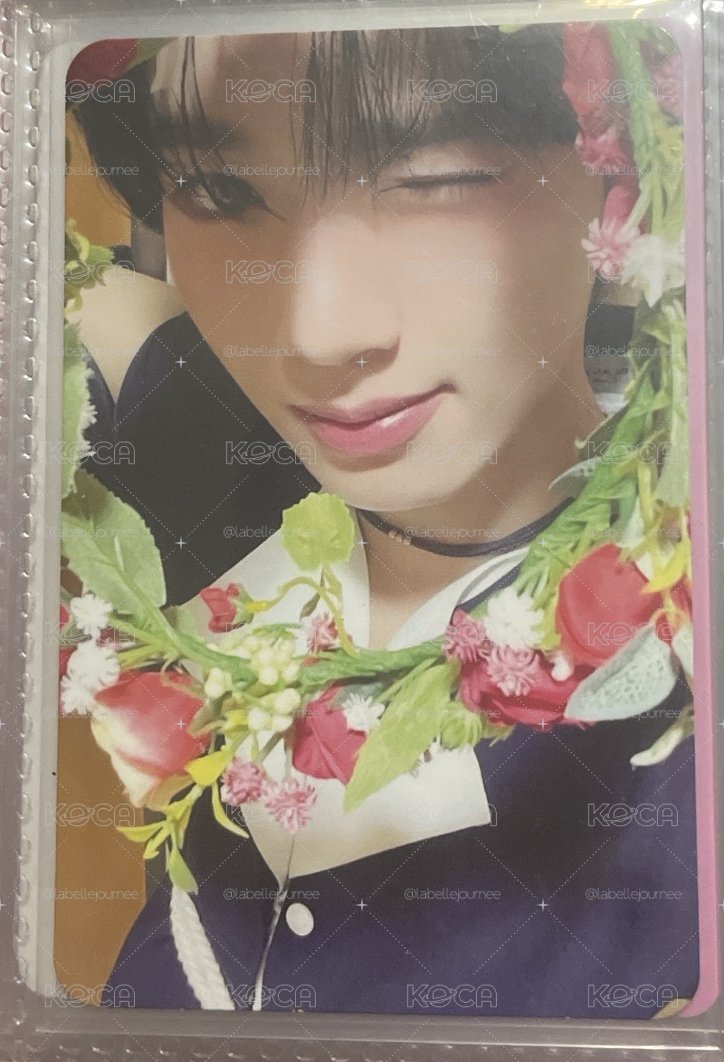 花圈辰🐰