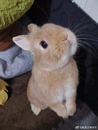 안녕