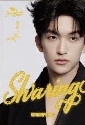 封套內頁超大海報