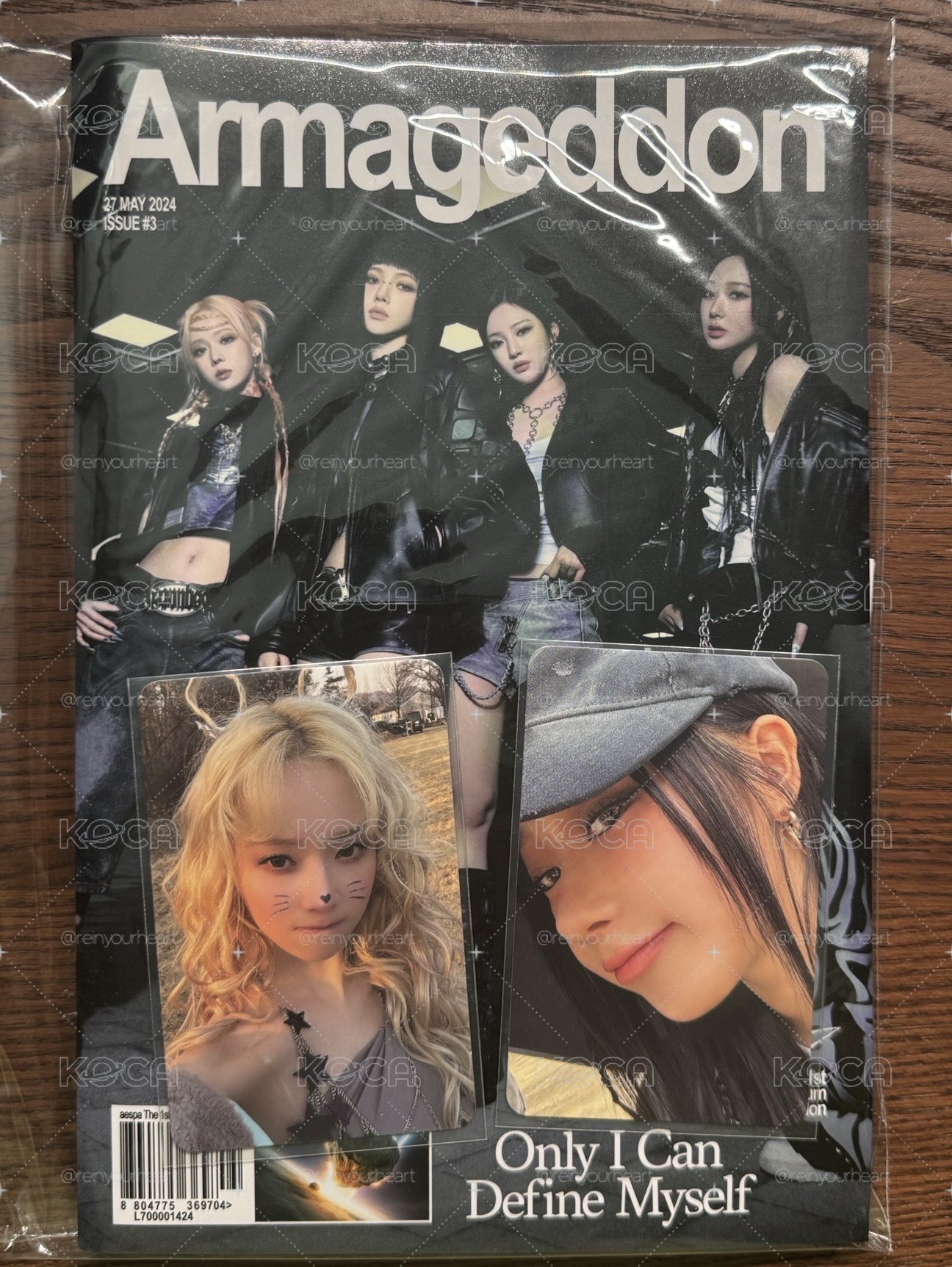 Amageddon zine版全專含貓咪冬