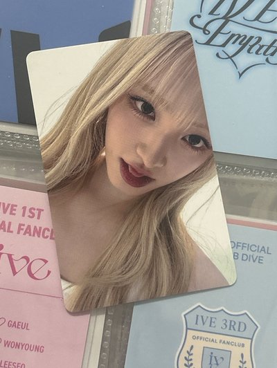 Liz yzy 一直娛 中文卡背栗