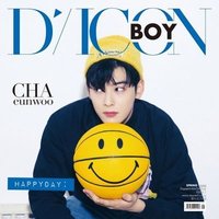 Dicon 車銀優 寫真書