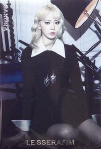 BANDAI 隨機卡 R-17