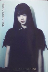 BANDAI 隨機卡 R-15