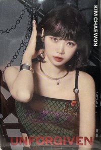 BANDAI 隨機卡 R-16