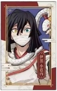 蛇年 半身 相卡 