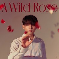 第三張個人迷你專輯《A Wild Rose》