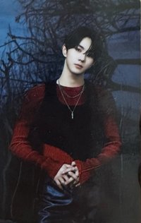 隨機卡 WTL世巡 禎元卡