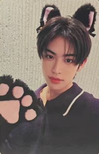 迷三 ms 11.0線上 簽售卡 小貓ver.