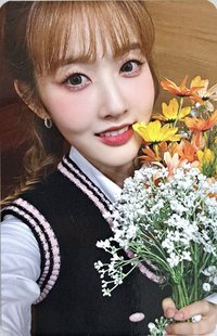 泰迪熊 ms 2.0 簽售卡 