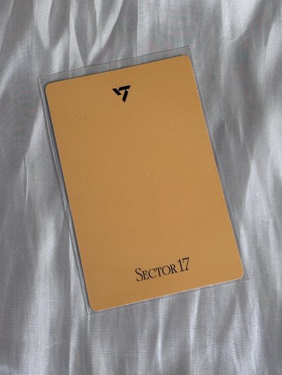 ［SEVENTEEN］🩷漢 正四後續 專輯卡 正規四後續｜CARAT ver.