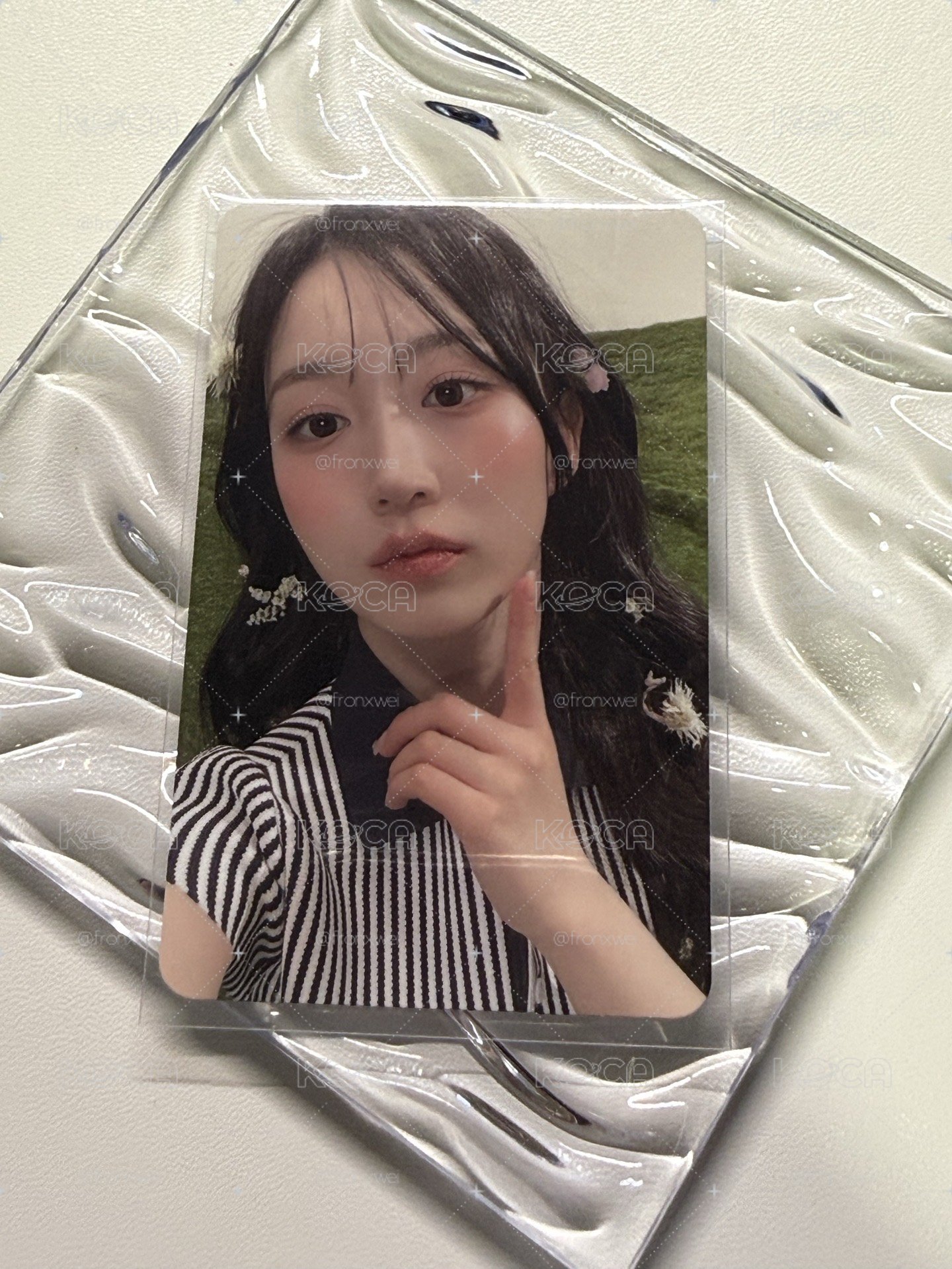 expérgo 專輯卡 Digipack 專卡嫄
