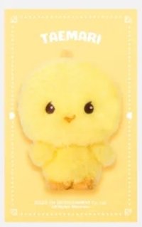 SS娃 16週年10cm娃