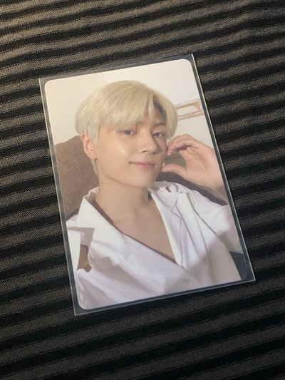 銀咪專欄🐈‍⬛