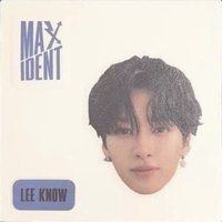 MAXIDENT 專輯卡 T-crush & Heart ver. 預售禮貼紙