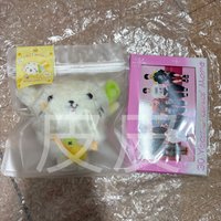 RYO原皮+綁RIIZE明信片組