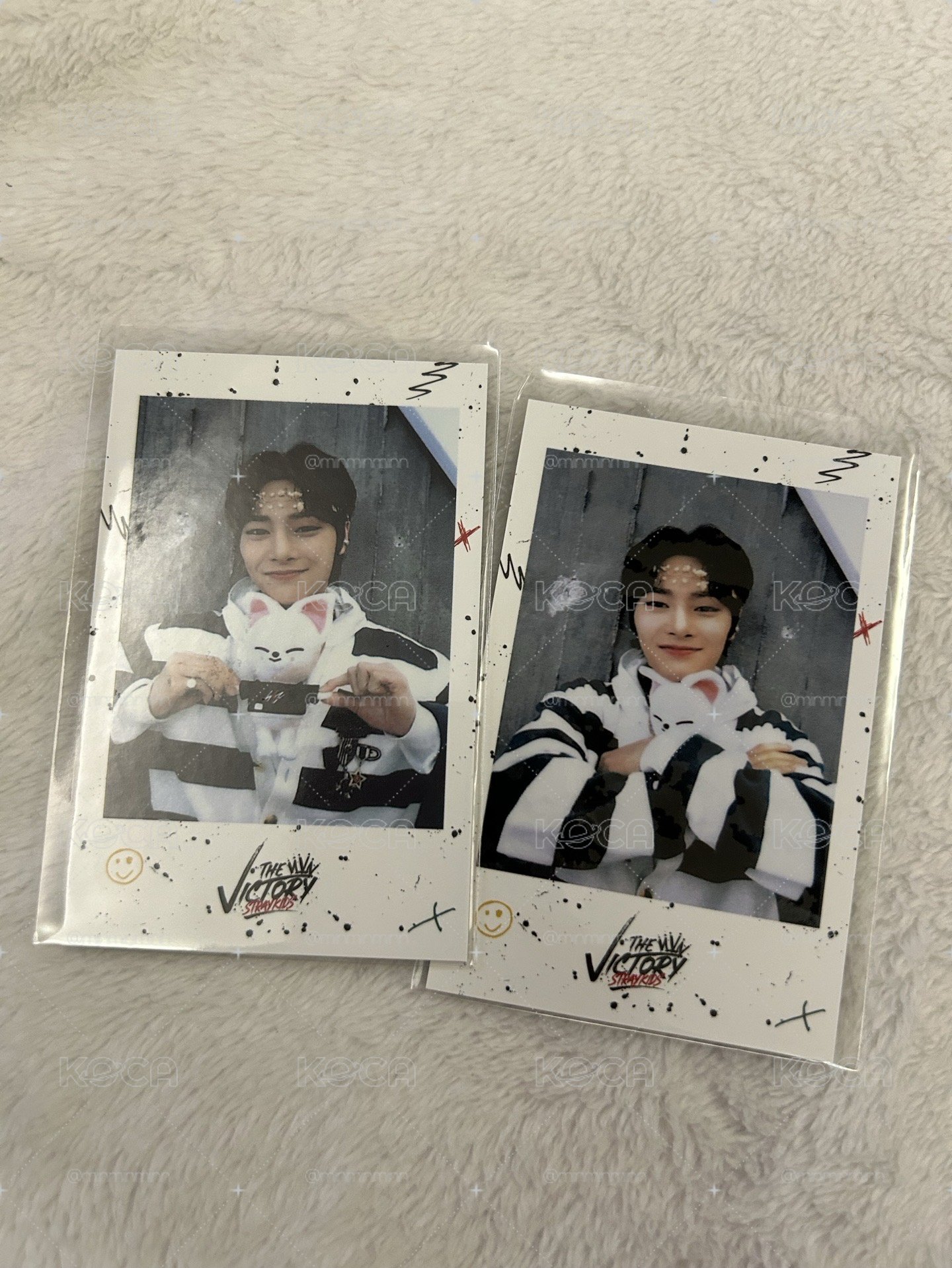 STRAY KIDS I.N 特典