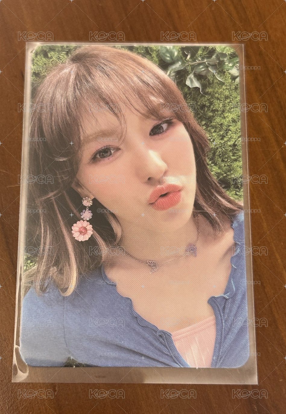 Wendy系列
