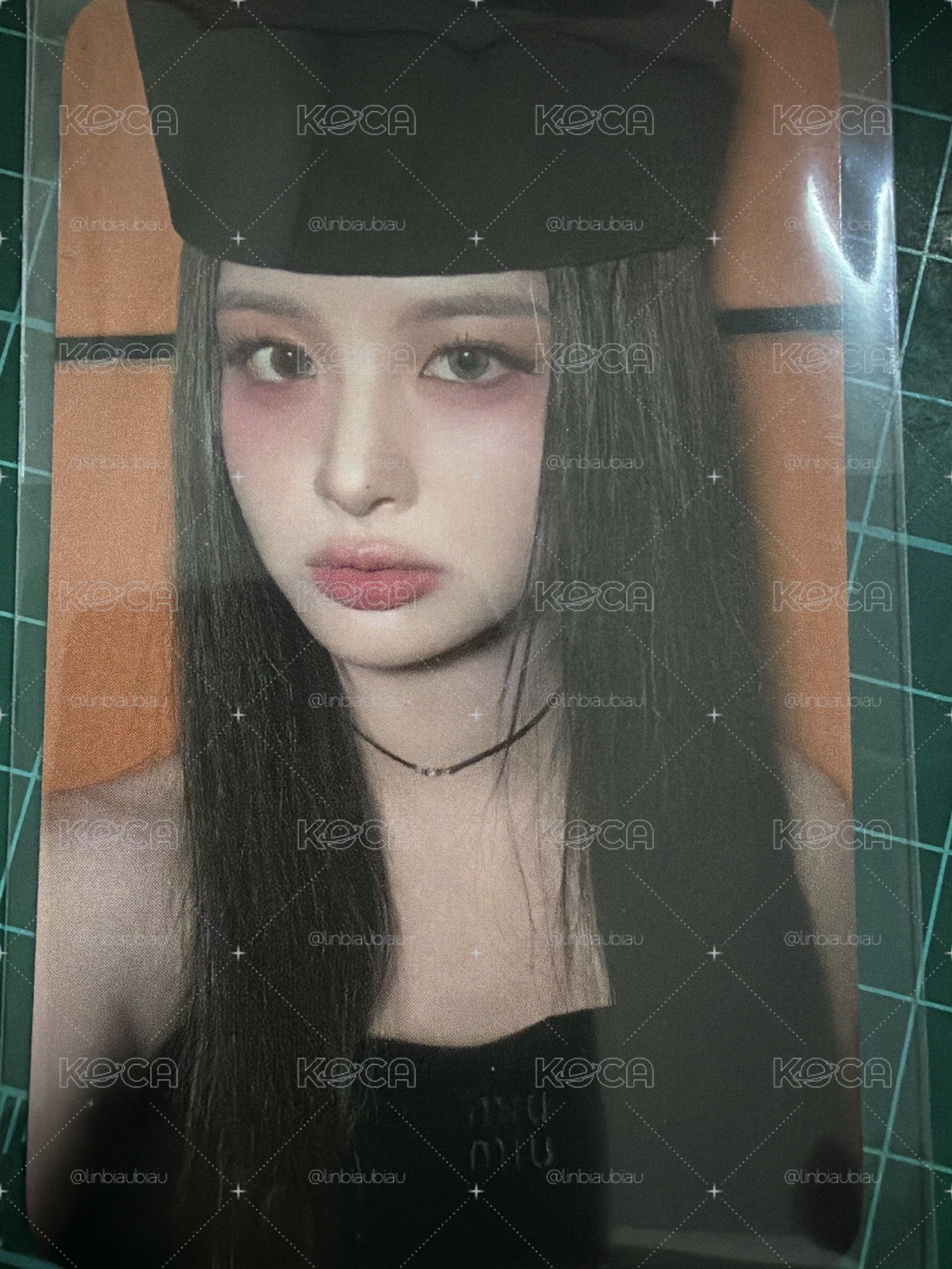 正規一 fans 預售 特典卡 薛侖娥✅