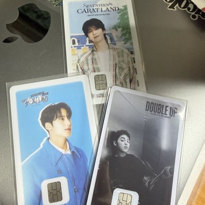 SEVENTEEN NAMANE 交通卡