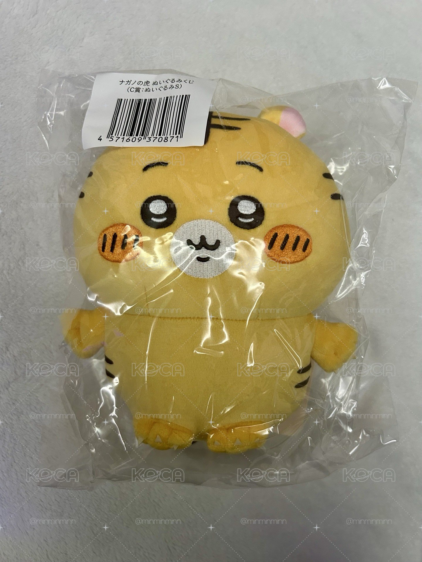 自嘲熊 小老虎
