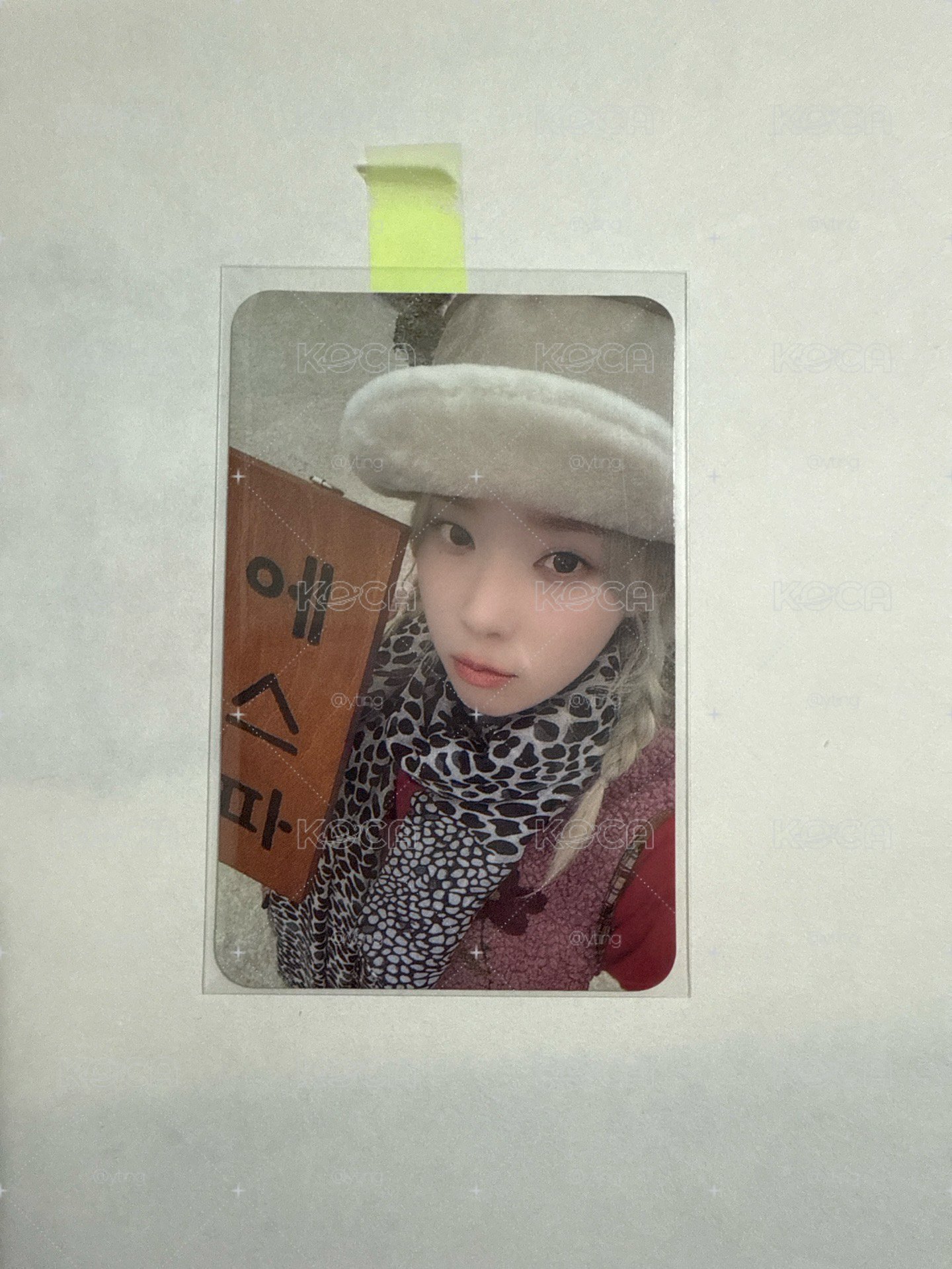 Winter 小卡