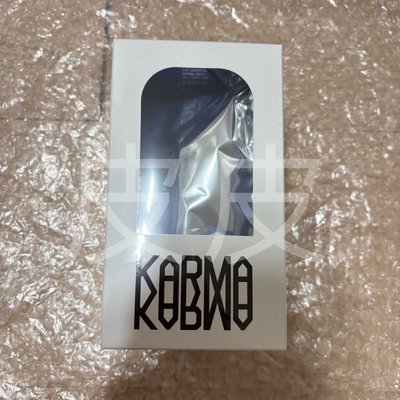 春節出貨/可等再下單）Stray kids 全新未拆 娃專 KARMA