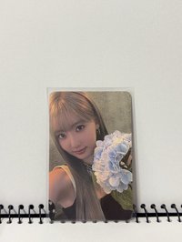 江南拿花藍（多帶