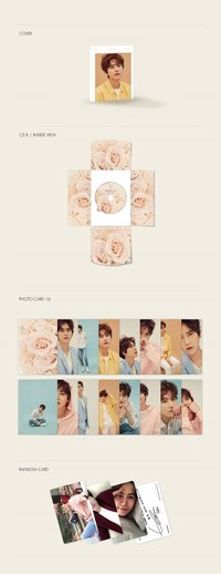 韓單一 專輯配置