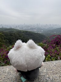 崔秀彬的黑眼圈