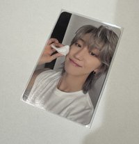 精選專親愛盤 小鳥啾啾啾🐦 徐明浩 小八 the8